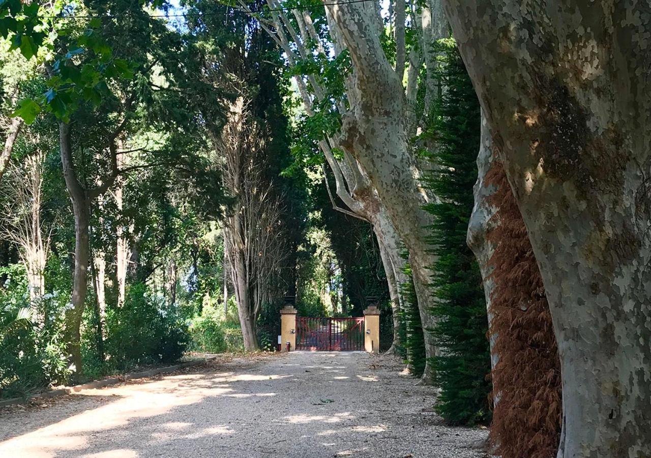 Can Codol De Fluvia - Casita Torroella de Fluviá Buitenkant foto