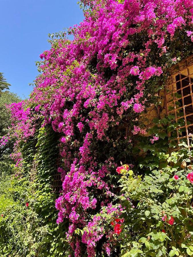 Can Codol De Fluvia - Casita Torroella de Fluviá Buitenkant foto